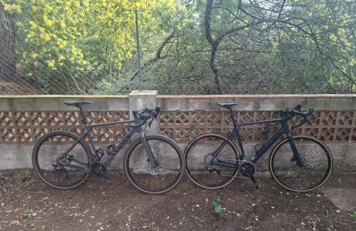 Casa Fritz - Photo 45