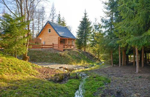 VIA Bieszczady - Foto 1