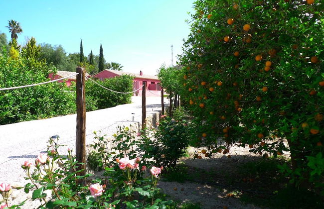 La Joya del Valle de Ricote - Photo 33