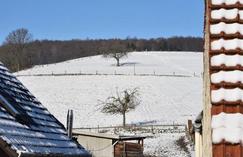 Ferienbauernhof Brandt - Foto 12
