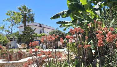 Levriero1 - Foto 4, Garden