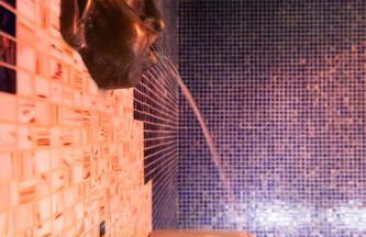 Saint George's House Appartamenti & Spa - Foto 43