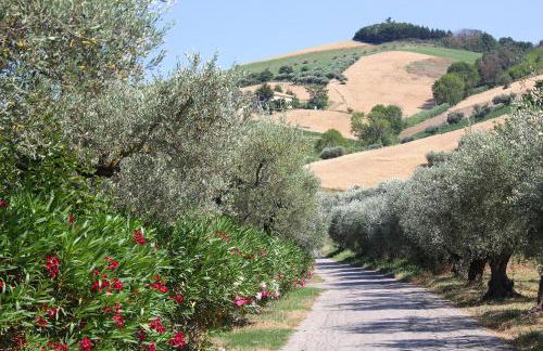 Country House La Foggetta - Foto 11