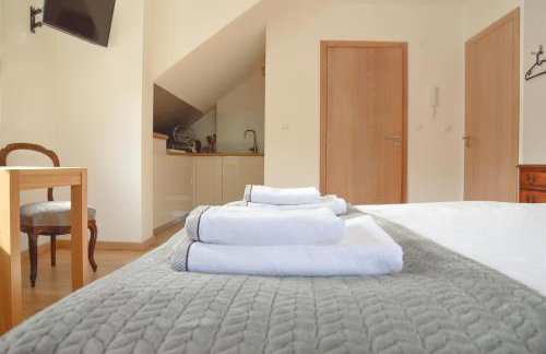 Apartamenty Agroturystyczne Papiernia Grill, Sauna & Jacuzzi - Foto 77