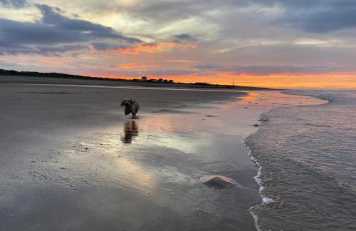 Our Happy Place - Photo 9