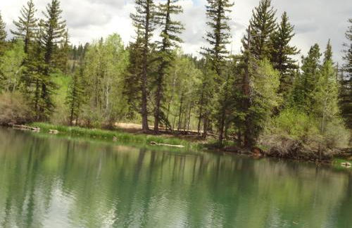 The Lodge at Duck Creek - Foto 45