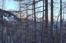 Appartement Puy-Saint-Vincent - Foto 9