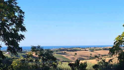 Casa Olive Family - Foto 4