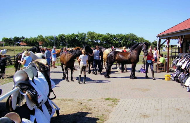 Holiday Home With Private Garden by the sea - Foto 21