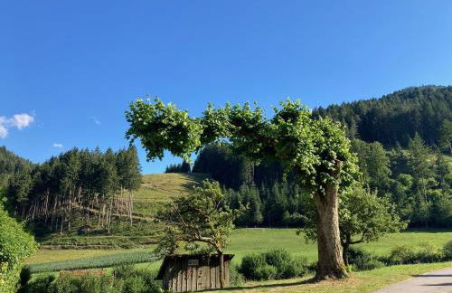 Waldbauernhof - Foto 26