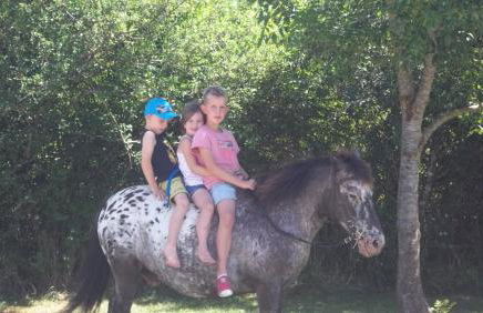 Gite Du Colombier - Foto 27