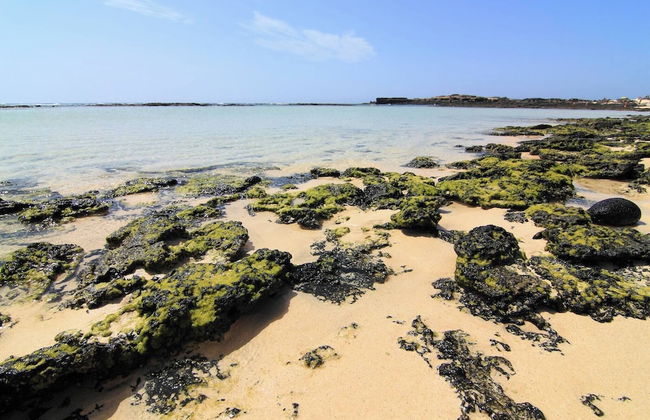 Bravo´s Apartment Cotillo 4 - Photo 23