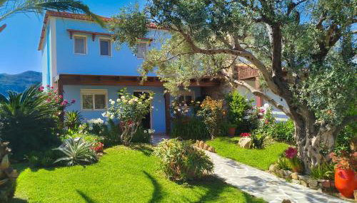 Posidonia Luxury Villas Kolympia - Foto 3, Garden, Garden view