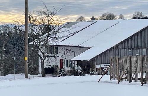 Ferienwohnung Cilli - Foto 2