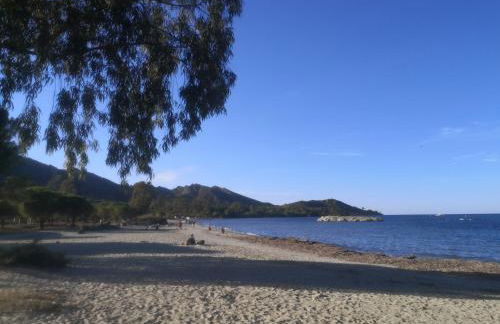 Résidence Saint Florent Oletta - Foto 21