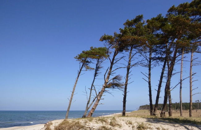 Baltic Sea Dromelhus - Foto 27