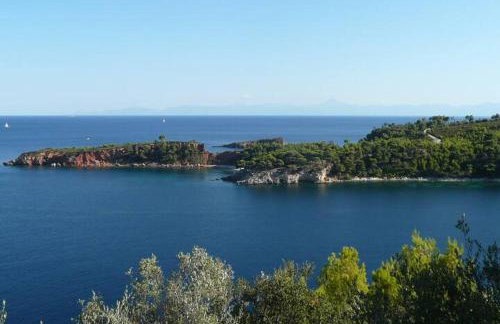 Magnolia Apartment - Foto 19