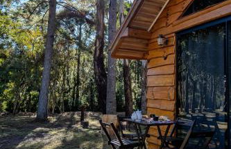 Cabana Pequeno Bosque Refúgio dás Águas - Foto 8