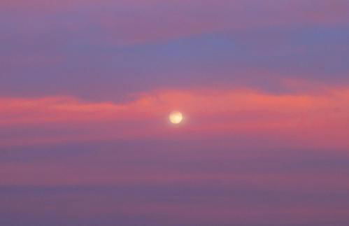 Peach Pine House - Escape Near City, Beach and Athens Airport - Foto 29