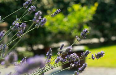 Casa Fornace 28 - Photo 25