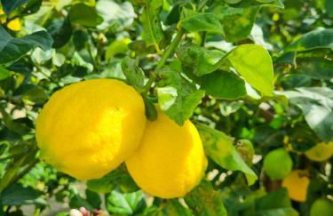 Flamenca Village Penthouse with Private Rooftop and Sea View - Photo 49