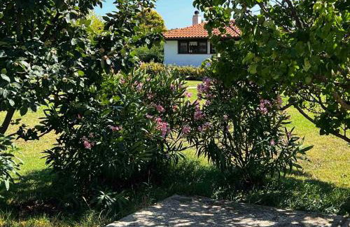 Casa La Vida - Foto 71