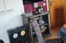 Monteurzimmer Lollar - Photo 37