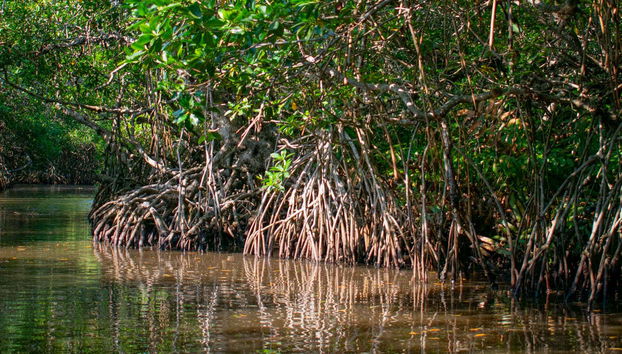 Tour in San Andres - Photo 2