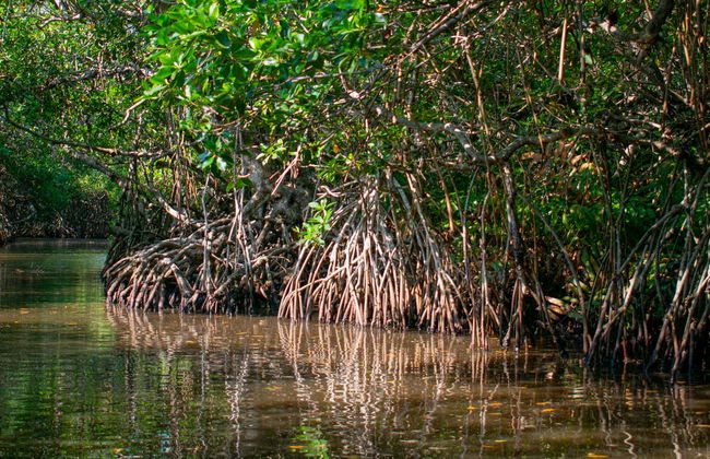 Tour in San Andres - Photo 2