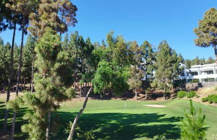 Lovely Evergreen - Photo 33