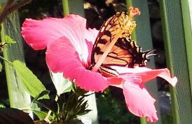 The Woodridge Retreat - Foto 50