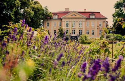 Schloss Stülpe - Foto 19