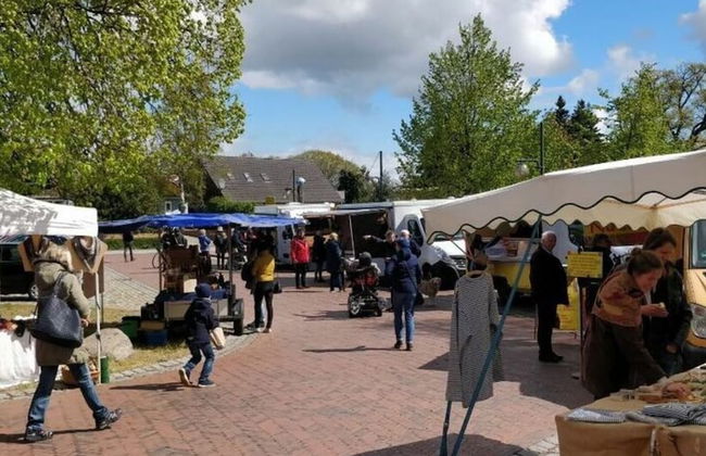 Captain House South Cats 8 - Photo 8