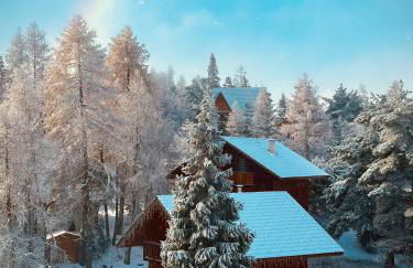 La joue du loup, aux pieds des pistes et vue sur montagnes - Photo 7