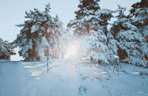 Grande ferme de 250m2 rénovée au charme rustique - Foto 50