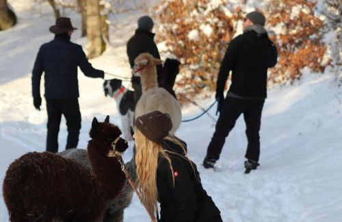 Blockhaus am Edersee - Foto 24