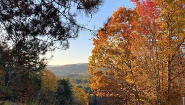 Red Barn Cabin Near Okemo - Foto 2