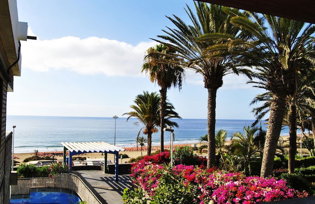 Apartamentos El Paseo - Foto 12