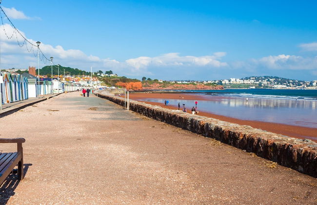 The Spinney in Paignton - Foto 51