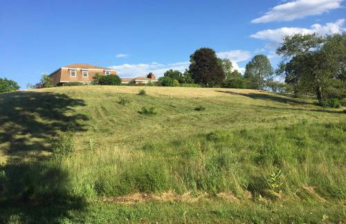 Daydream Mountain Art Chateau - Foto 49