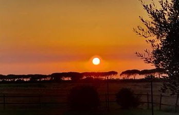 Bio Agriturismo Le Giunchiglie - Foto 29