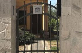 The Wild Lavender - Foto 16