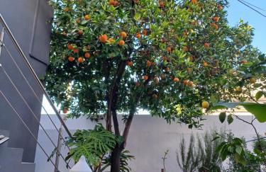 VILLA CERRO E MAR Apartement - Foto 12