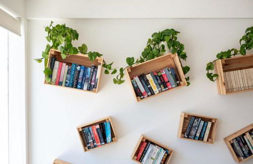 Estudios Salinas - Fuseta - Foto 49