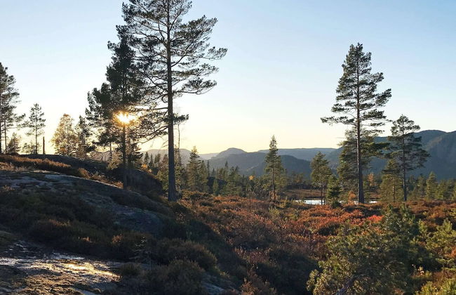 15 Person Holiday Home in Treungen - Foto 24