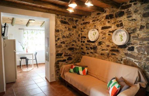 Monte Cimeiro - Foto 19