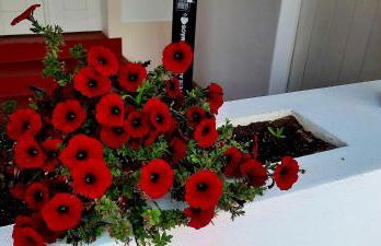 Tapada da Rabela - Reserva Natural - Foto 14