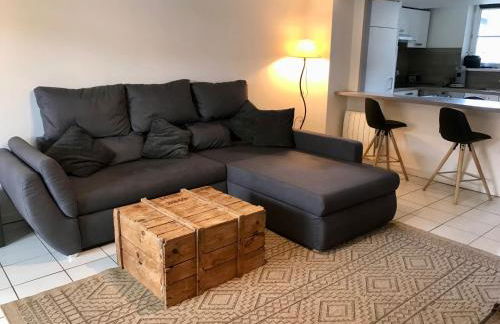 Gîte plain-Pied avec jardin du Centre Alsace - Foto 6