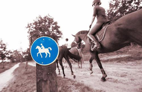 INTERGO Apartments - Foto 50