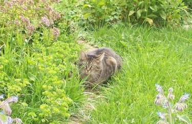 Ferienwohnung Haus Hollerbusch - Foto 12